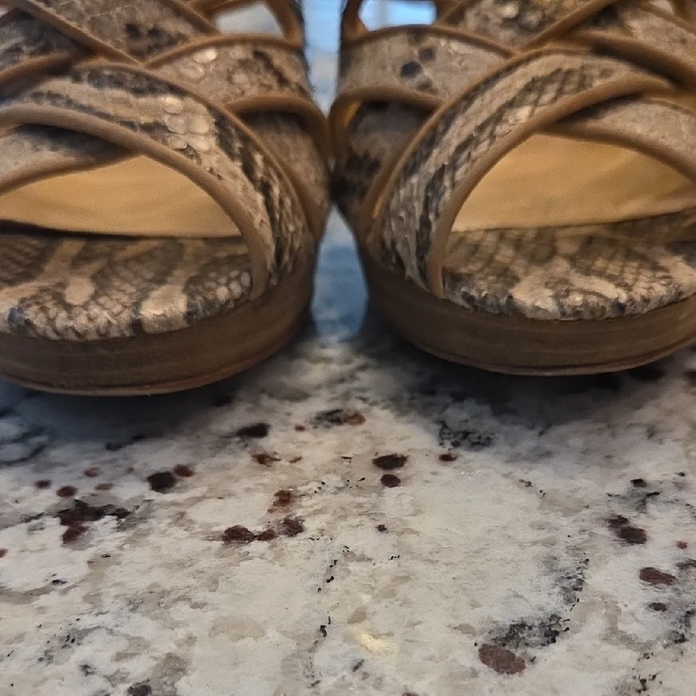 Coach Snakeskin Strappy Heels in Tan and Brown - Picture 5 of 10